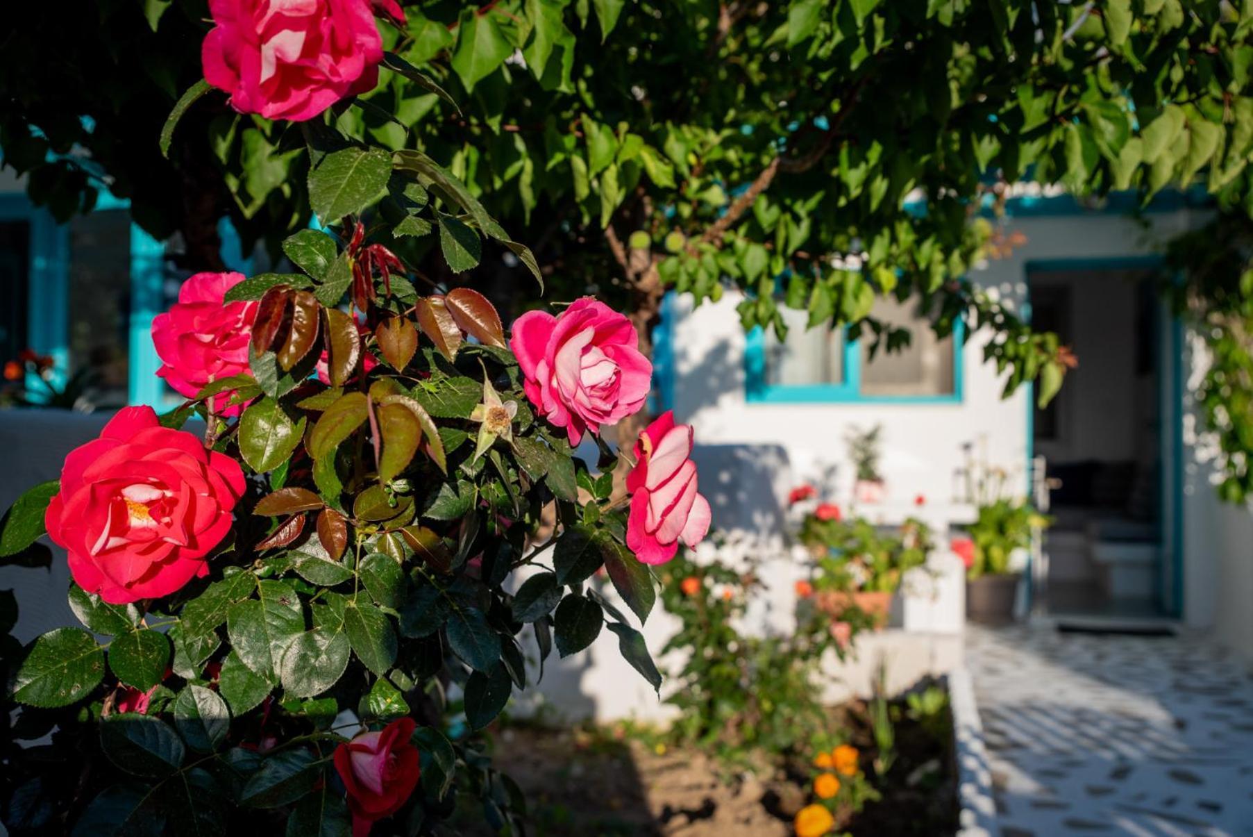 Apartamento Azzurro Naxos, Azzurro I - Azzurro II - Azzurro III Naxos City Exterior foto